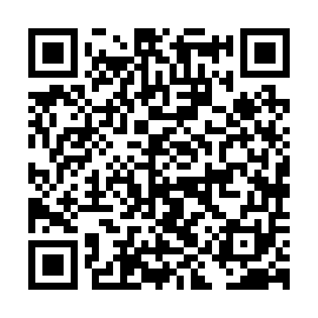 QR code for DIX251