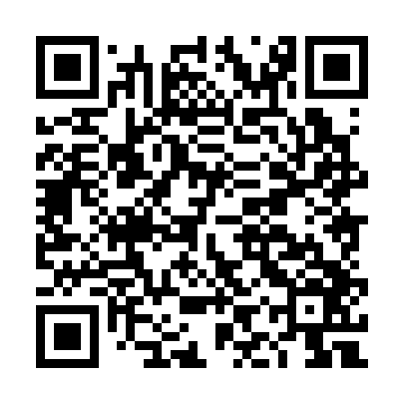 QR code for DIX346