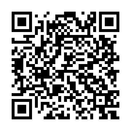 QR code for DIX533