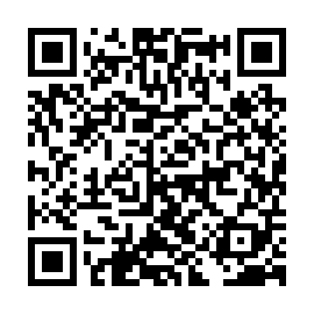 QR code for DIY209