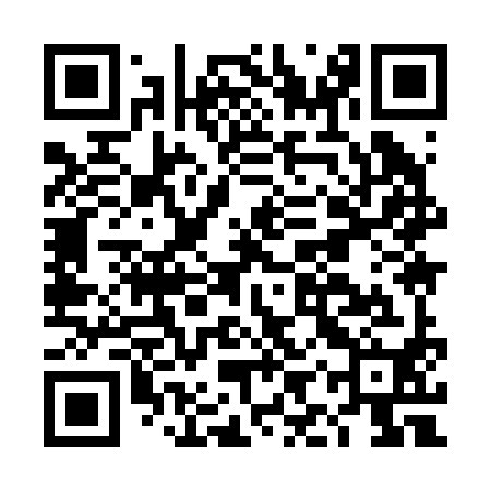 QR code for DIY290