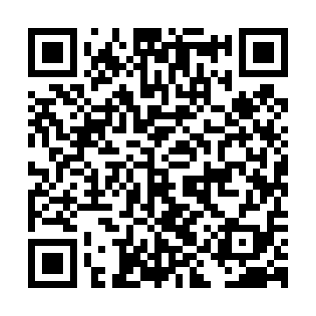 QR code for DIY419