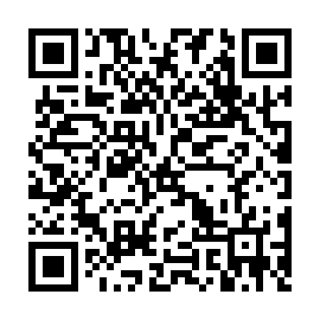 QR code for DIZ127