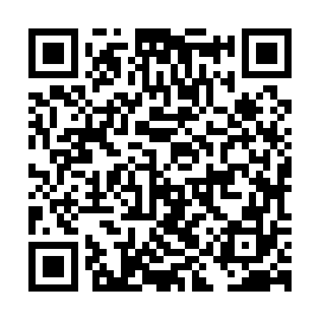 QR code for DIZ172