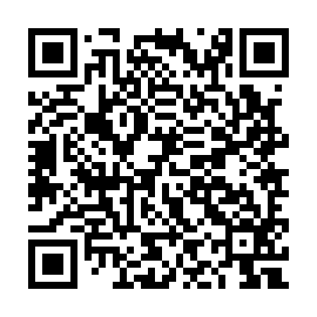 QR code for DIZ196
