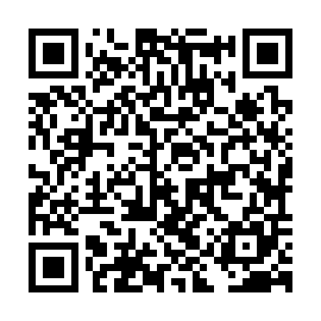 QR code for DIZ305