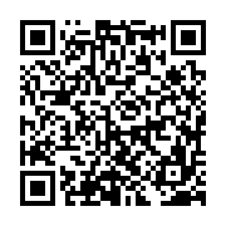 QR code for DIZ316