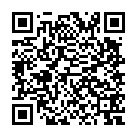 QR code for DIZ458