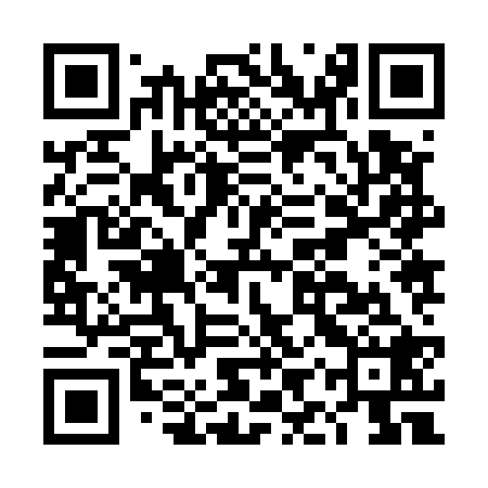 QR code for DIZ528