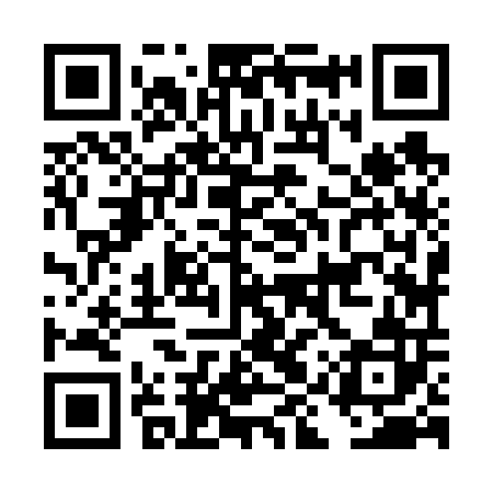 QR code for DIZ602