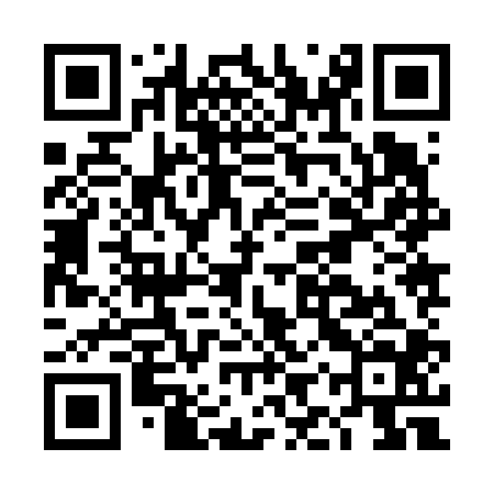 QR code for DIZ604