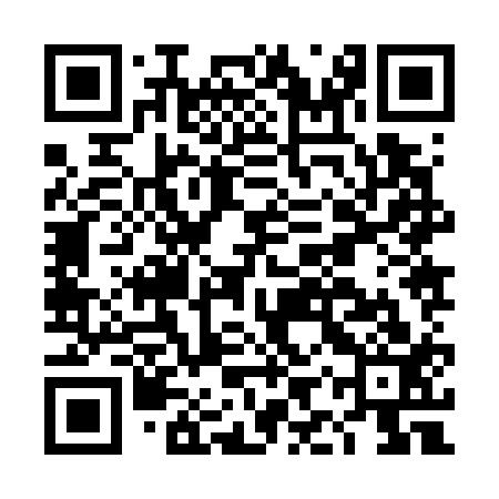 QR code for DIZ713
