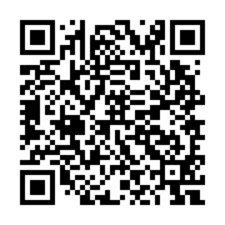 QR code for DIZ791