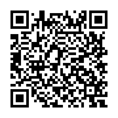 QR code for DIZ917