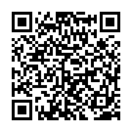 QR code for DIZ933