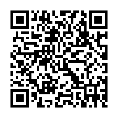 QR code for DIZ986
