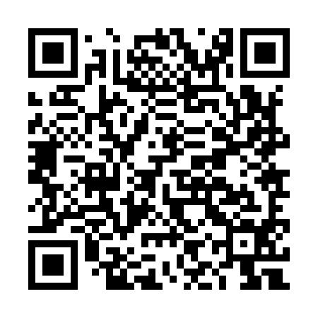 QR code for DIZ994