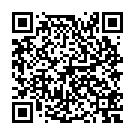 QR code for DJI308