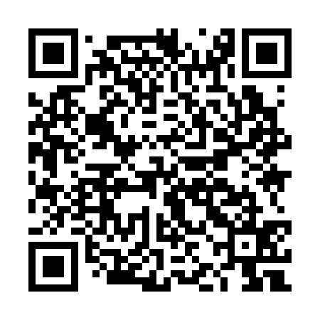 QR code for DJI335