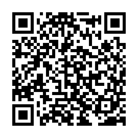 QR code for DJI341
