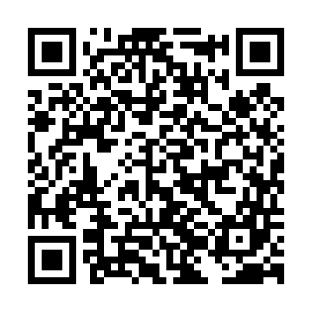 QR code for DJI447