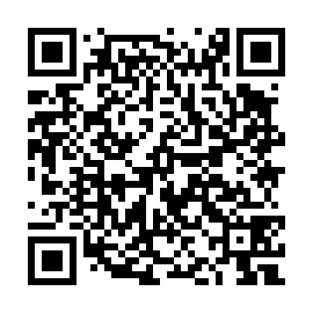 QR code for DJI478