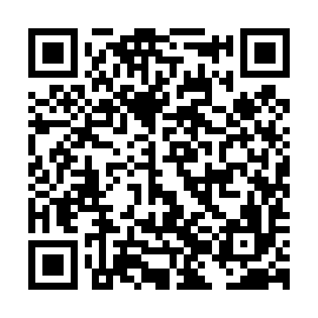 QR code for DJI496