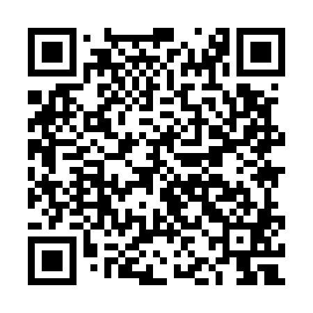 QR code for DJI581