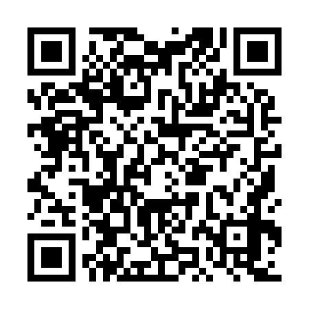 QR code for DJI978