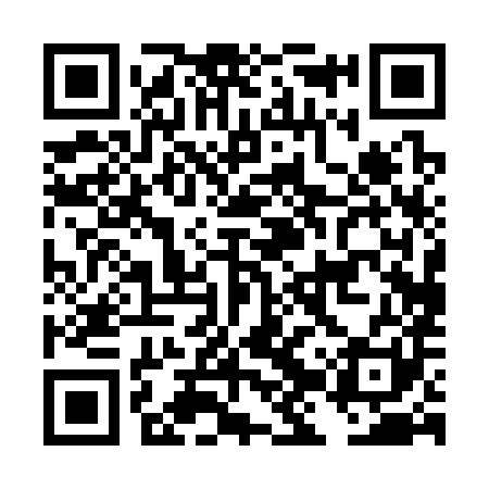 QR code for DJP381
