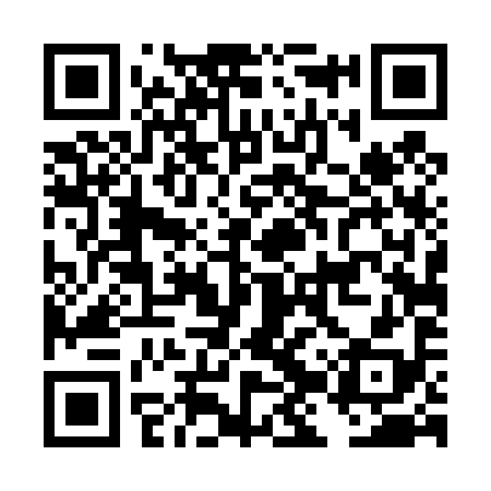 QR code for DJT498