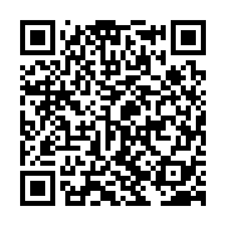 QR code for DJU379