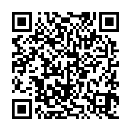 QR code for DKD381