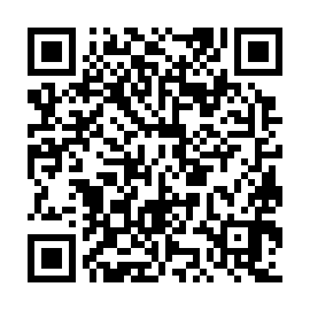 QR code for DKG390