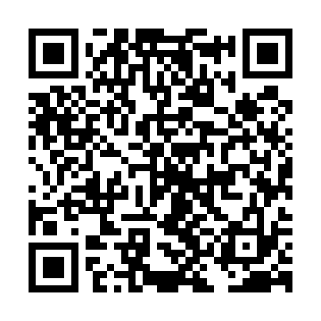 QR code for DKM533