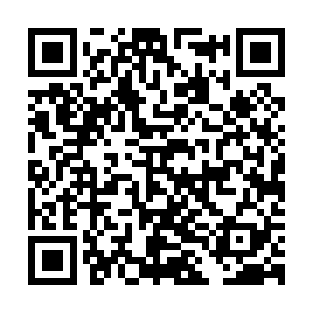 QR code for DLD029