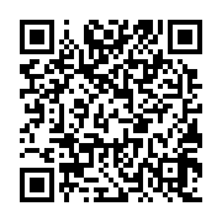 QR code for DLG318