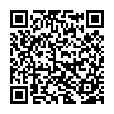 QR code for DLG441