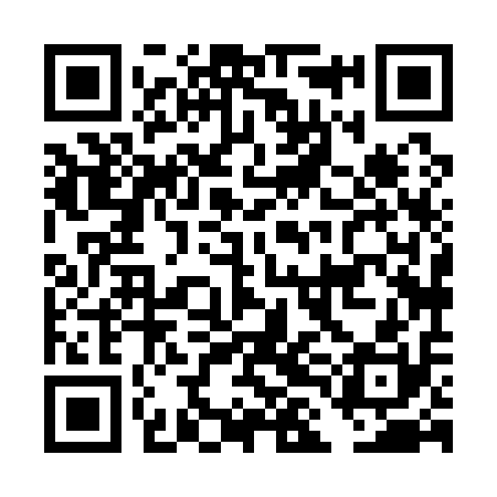 QR code for DLH110
