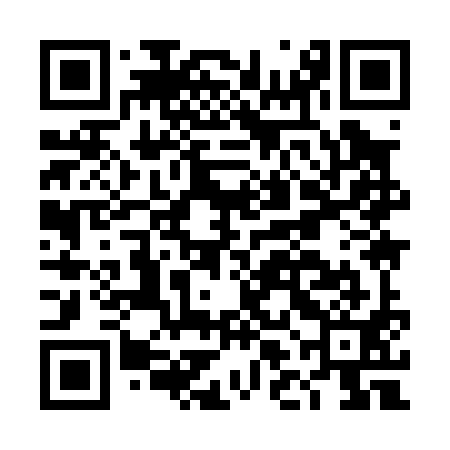 QR code for DLI091