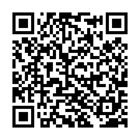 QR code for DLL495