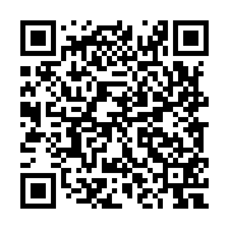 QR code for DLL951