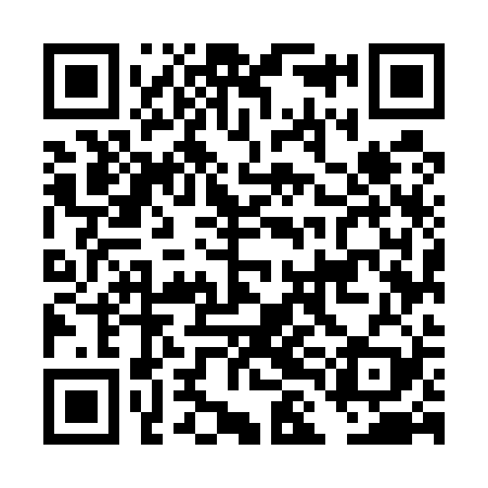 QR code for DLM529