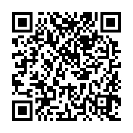 QR code for DLN382