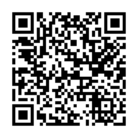 QR code for DLP341