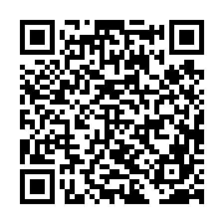 QR code for DLP666
