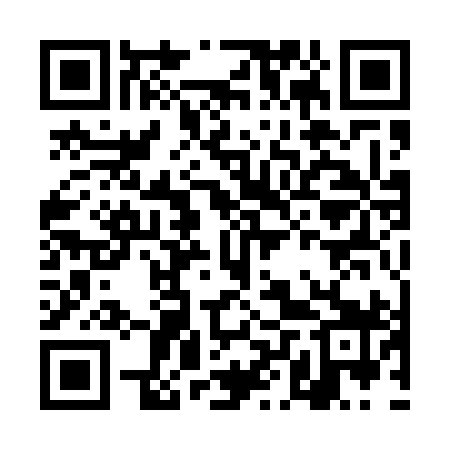 QR code for DLQ599
