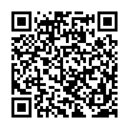 QR code for DLR336