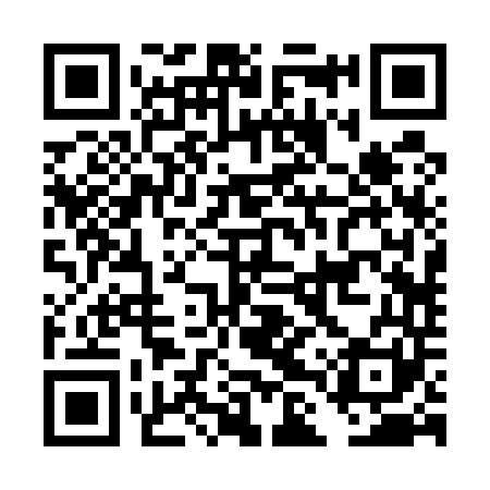 QR code for DLR541