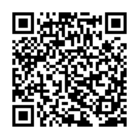 QR code for DLR950